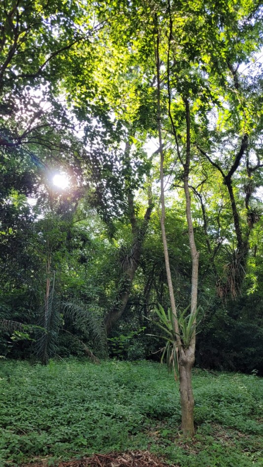 Terreno en venta en El Corte